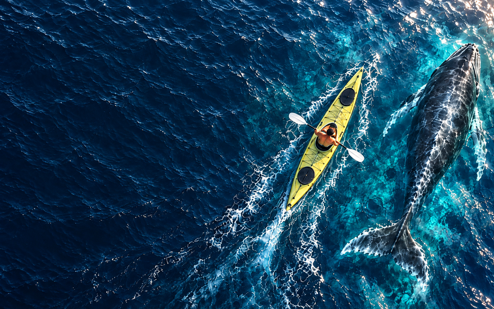 Kayak amarillo junto a una ballena en el mar